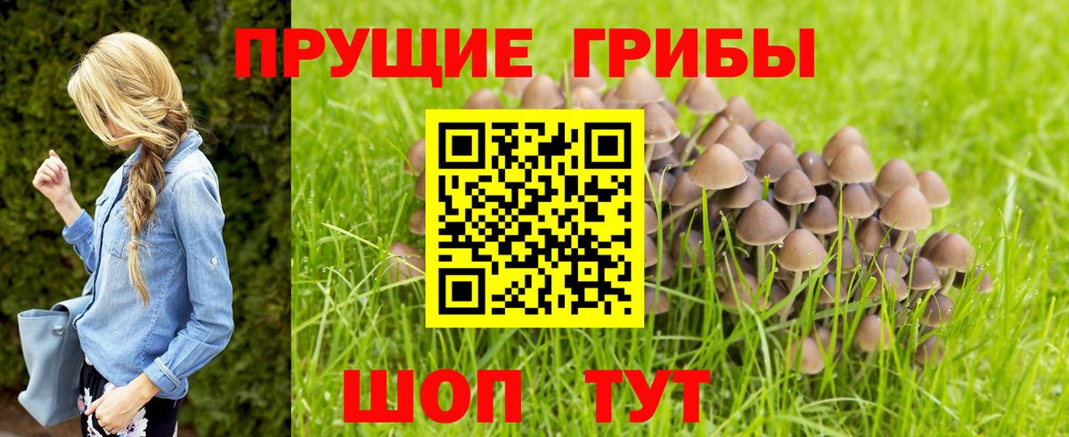 Псилоцибиновые грибы прущие грибы  Вход с VPN  Донецк 